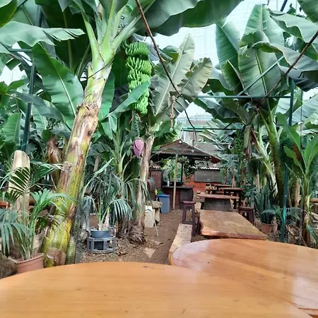 Tenerife Rum i privatbostad San Miguel de Abona