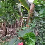 Tenerife Rum i privatbostad San Miguel de Abona