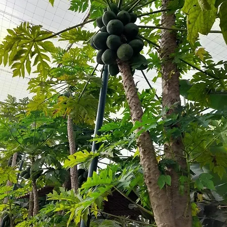 Kwatera prywatna Tenerife *