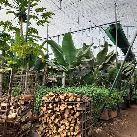 Quarto em Acomodações Particulares Tenerife San Miguel de Abona