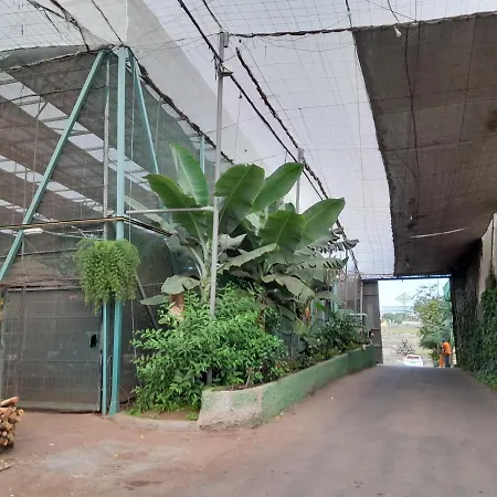 Tenerife Quarto em Acomodações Particulares San Miguel de Abona